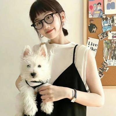 呆呆精灵与女巫城堡